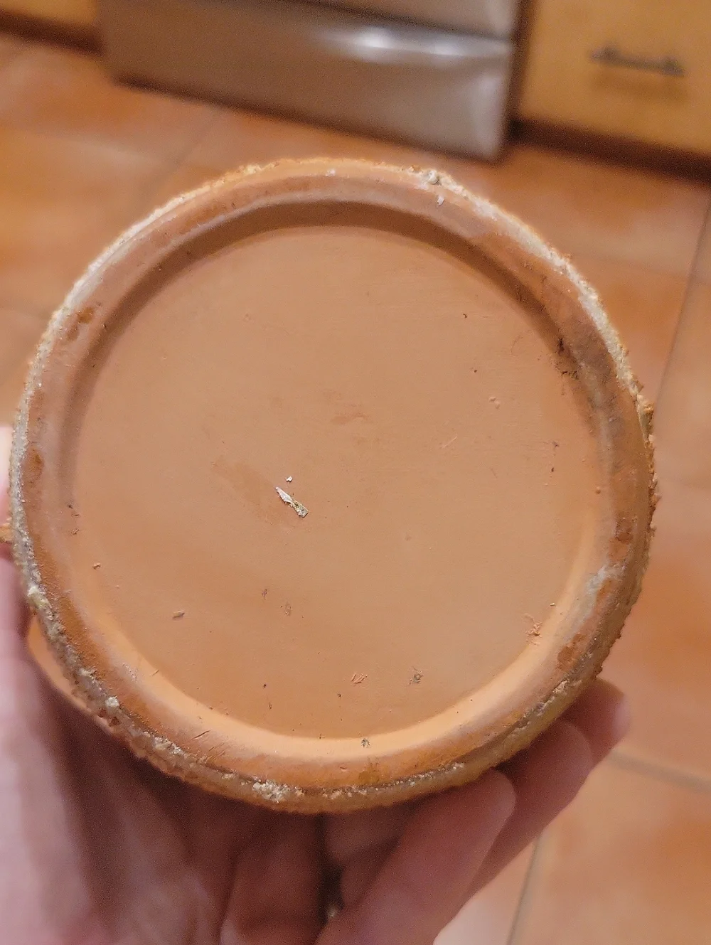 Vintage Textured Terracotta Clay Pot Vase